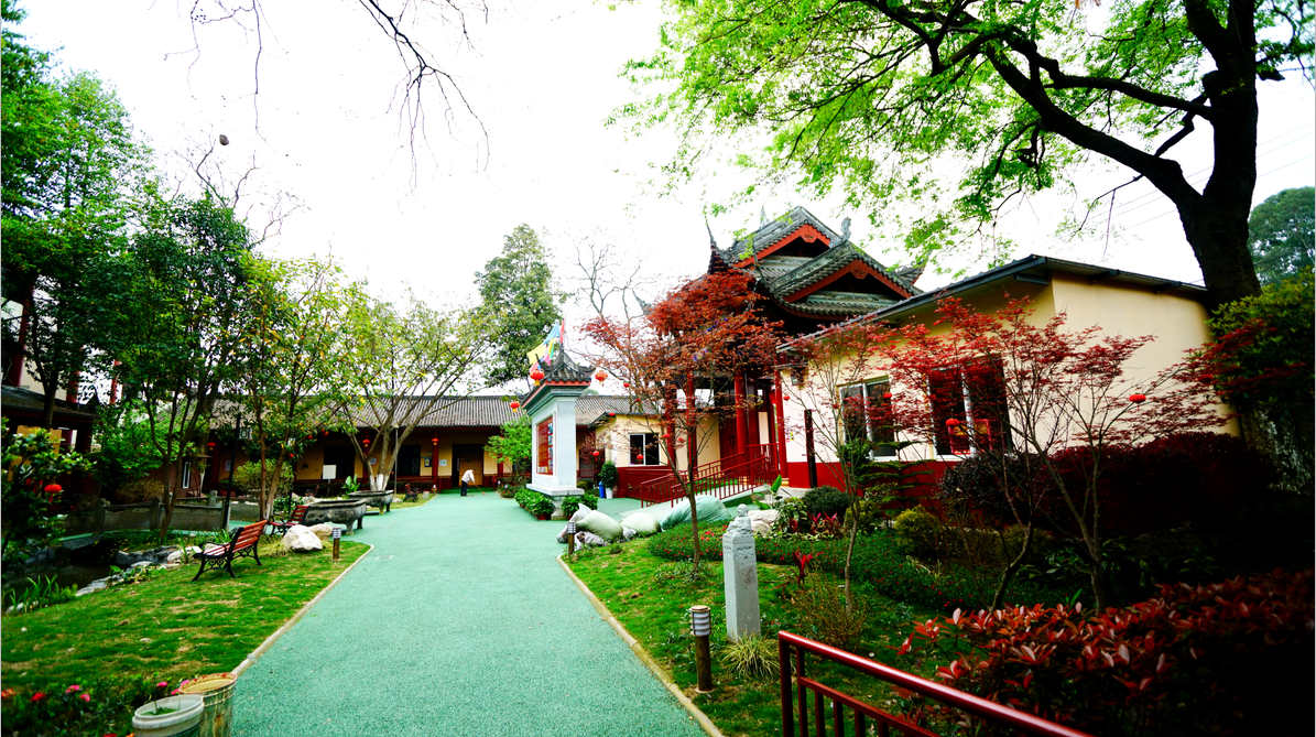 老了去不去養老院？成都養老院推薦哪家？